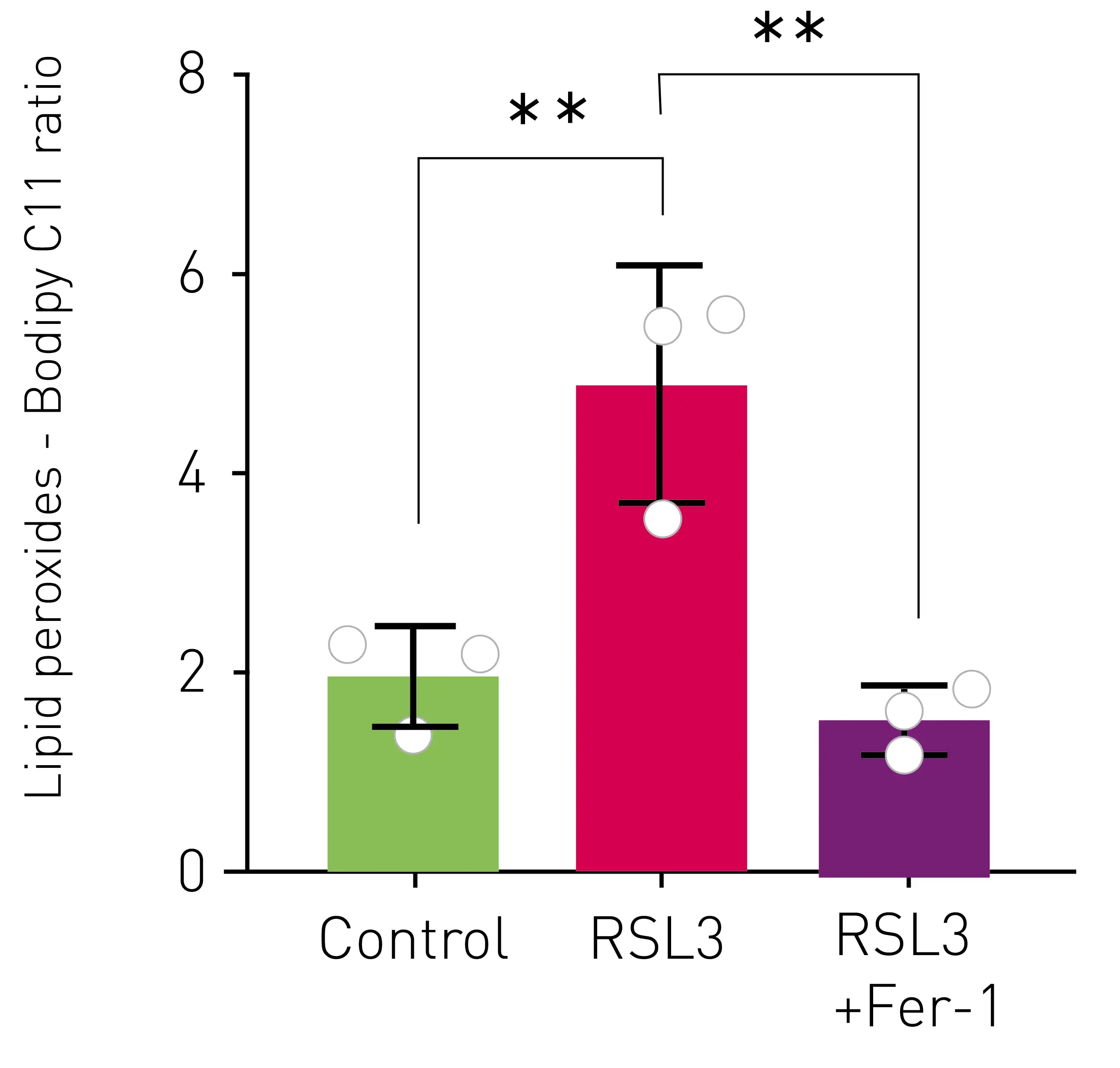Lipid peroxidation assay for ischemia-reperfusion | BMG LABTECH